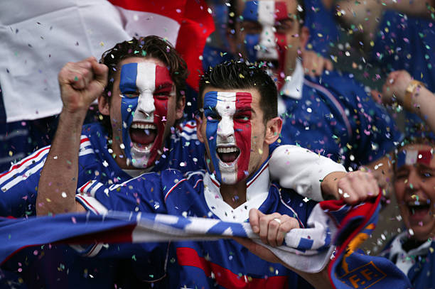 豪华阵容的 豪华阵容的